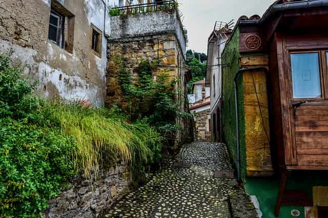 Casas Rurales Con Perros Y Mascotas En Asturias