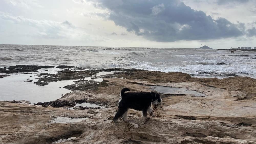 Junto Al Mar 02