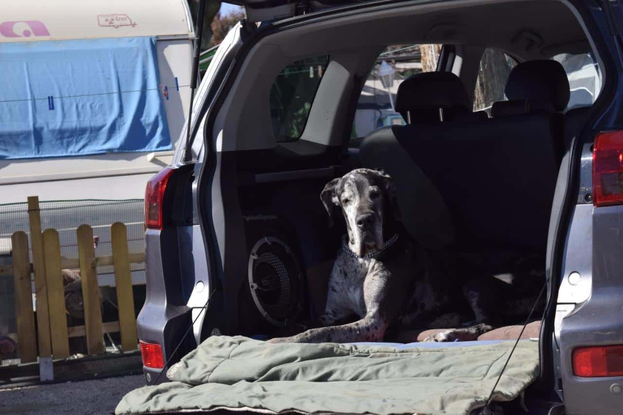 Camping Costa Blanca