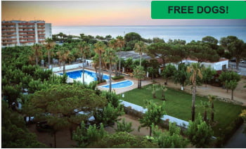 Camping Bellsol Pets