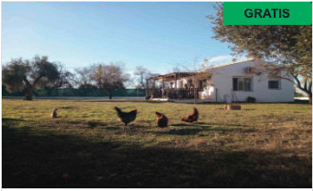 Casa de Campo Los Manueles