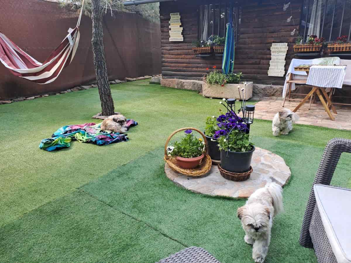 Cabaña ecológica del lago