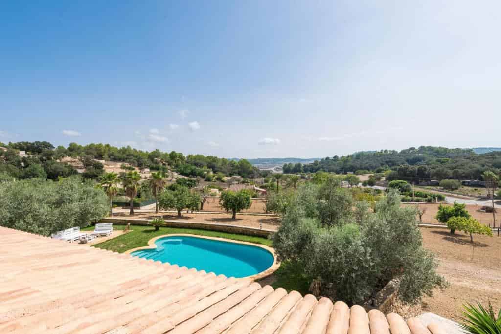 Turismo rural en la provincia de Toledo con perro