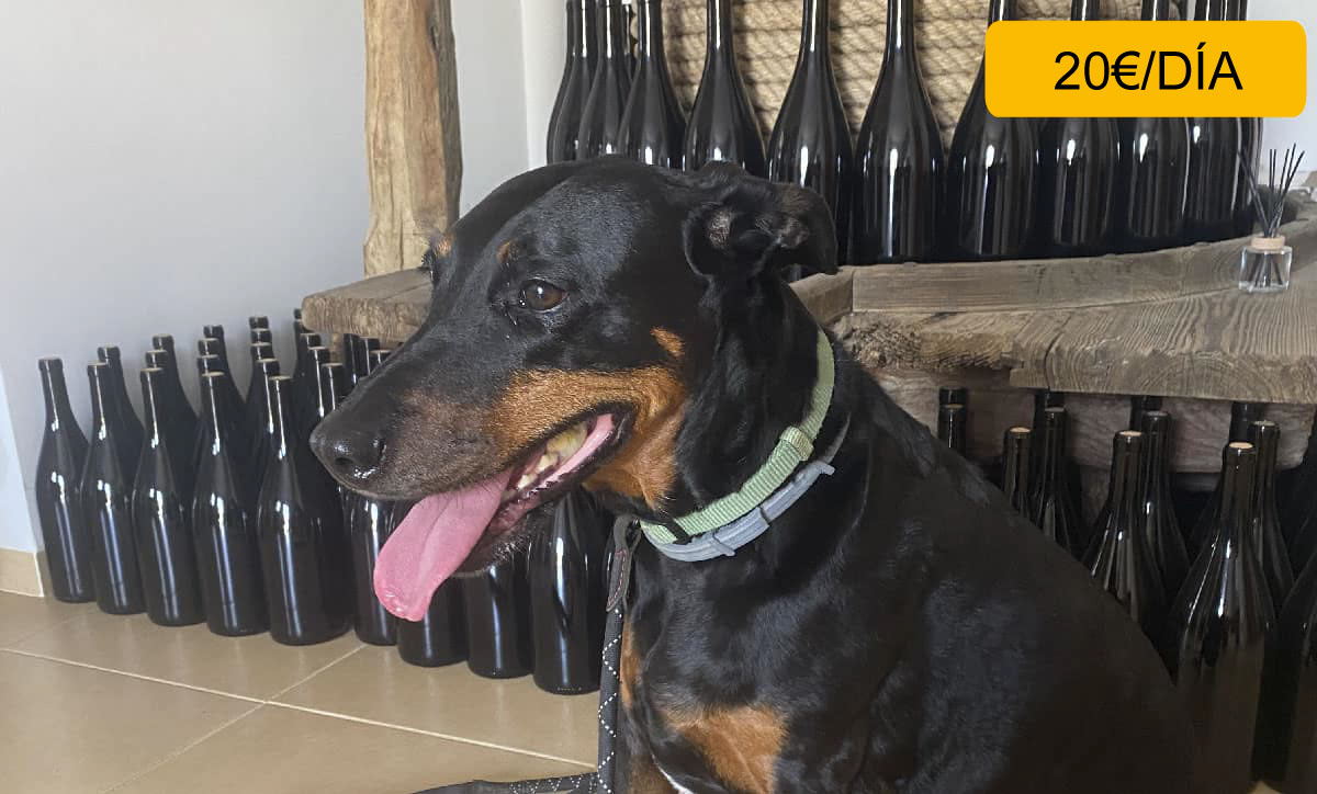 Hostal Restaurant Mussons Vins 02