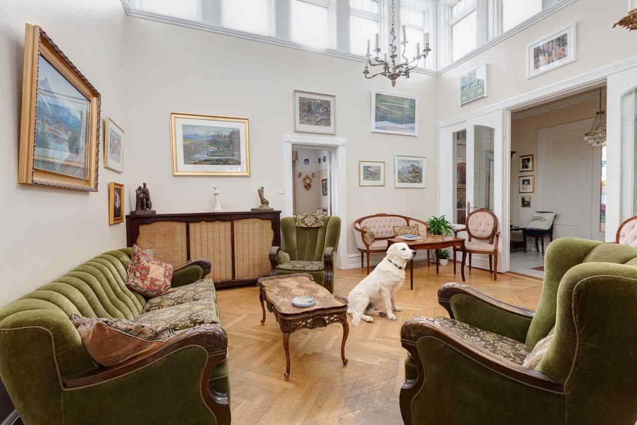 Oferta hotelera pet-friendly en Cataluña.