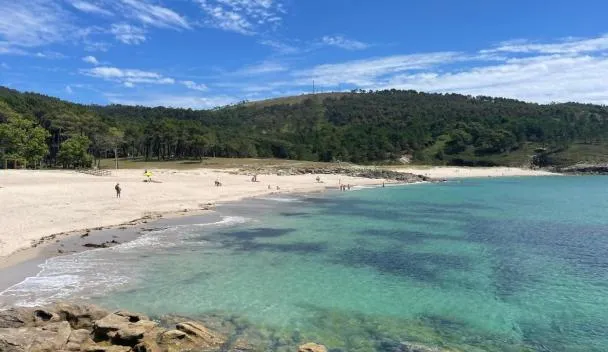 Hoteles que admiten perros y mascotas en A Coruña