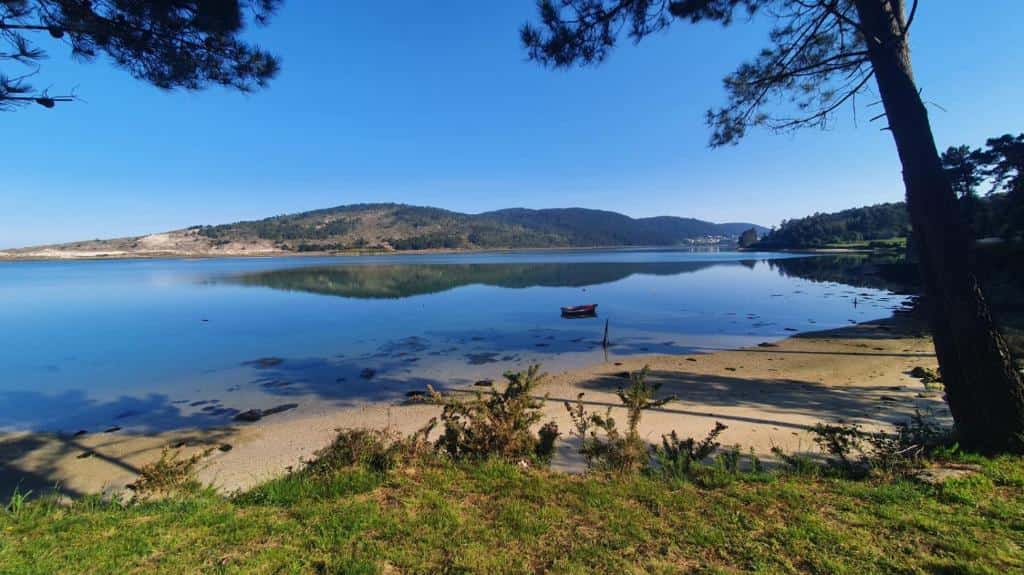 Qué ver en A Coruña con tu perro