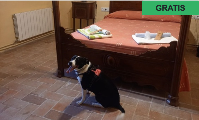 Hostal Rural Mas Blanc 01