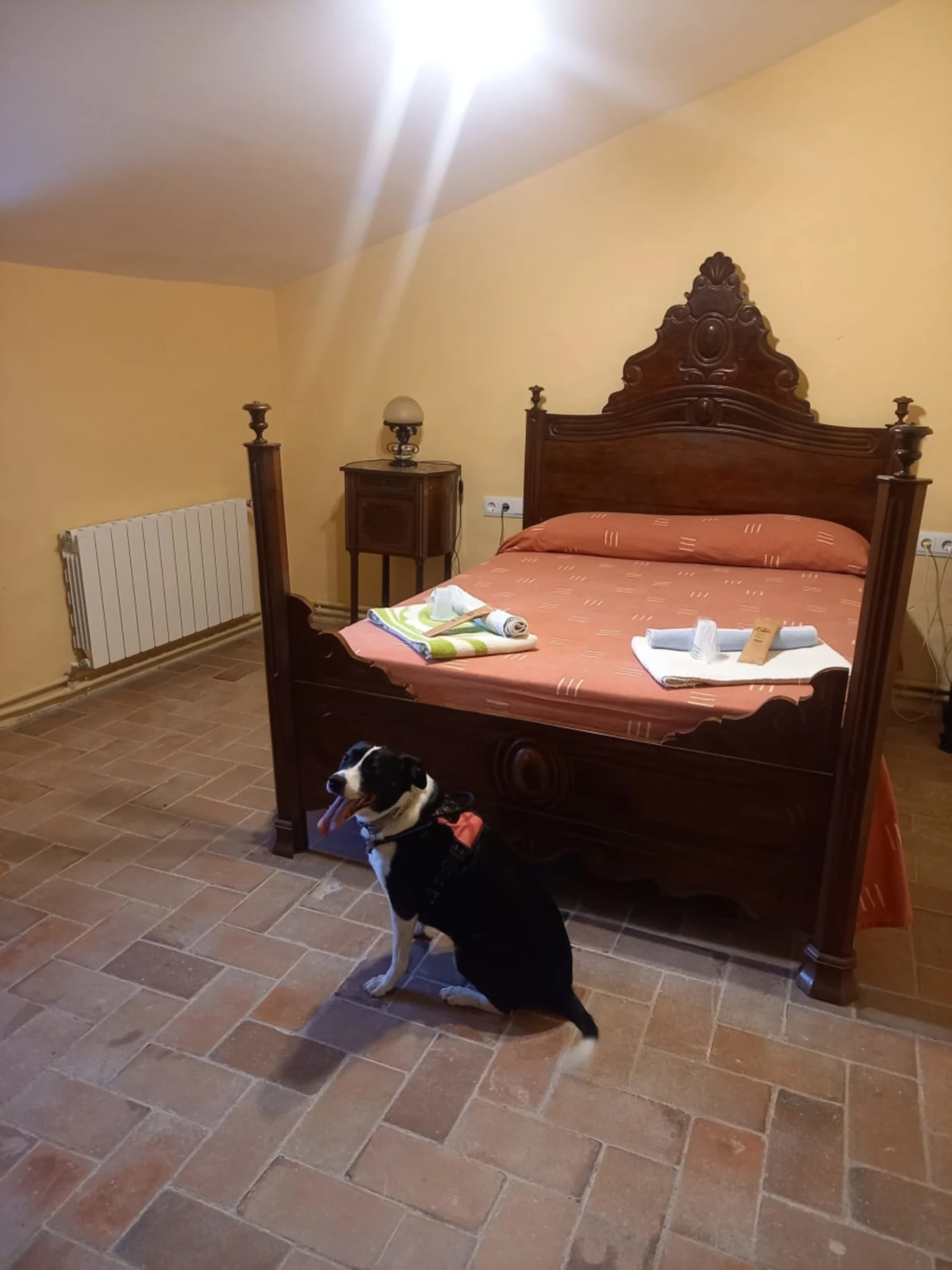 Hostal Rural Mas Blanc 01