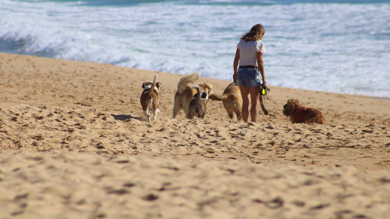 Playas y calas para perros en la Costa Brava.
