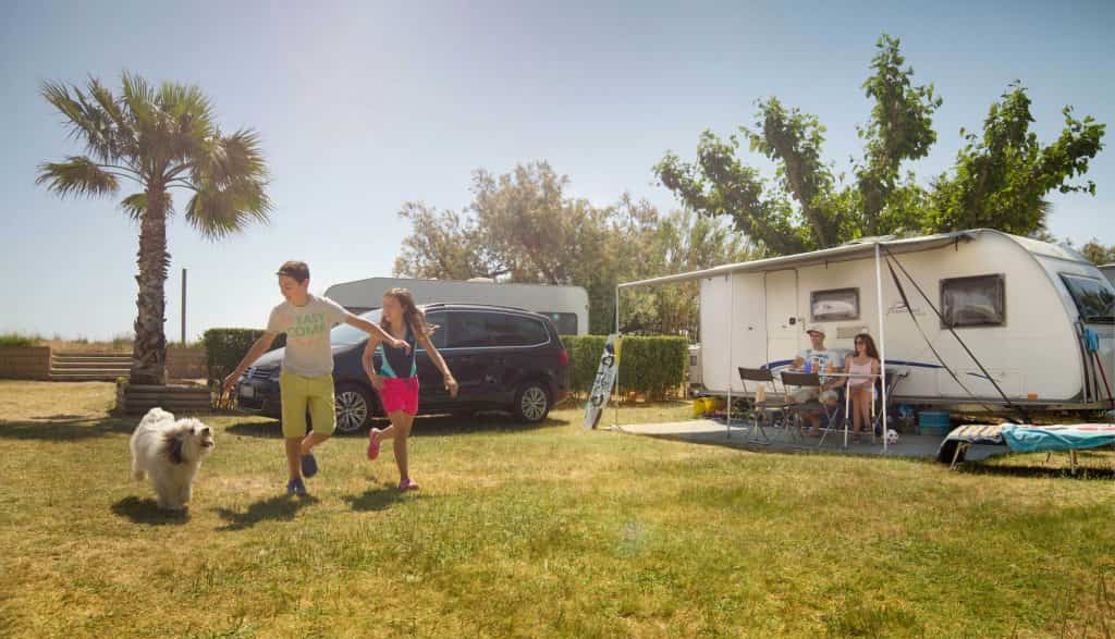 Actividades para hacer con perro en la Costa Dorada