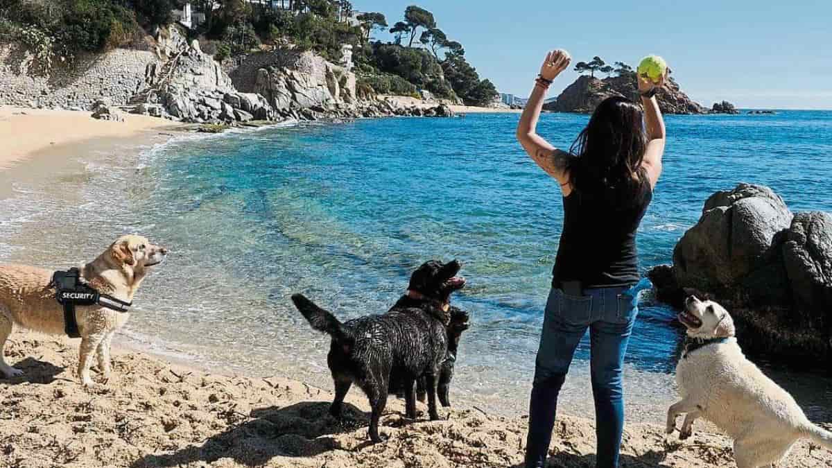 Planes para hacer con perro en la Costa Dorada