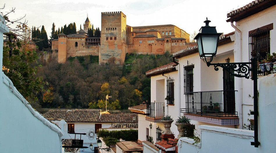 What to do in Granada with a dog?
