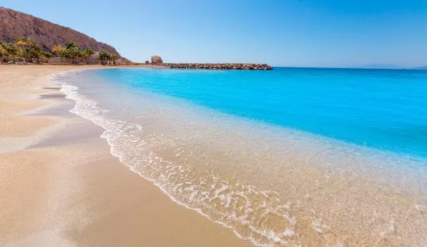 Disfruta de Murcia