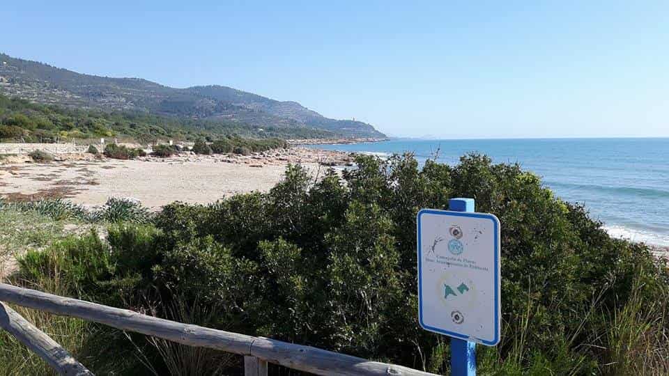 Hoteles en Peñiscola que admiten perros y mascotas