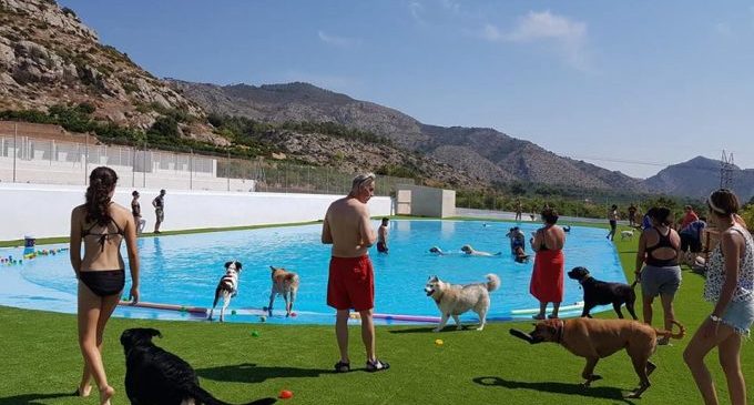 Piscina para Perros en Alicante Costa Blanca