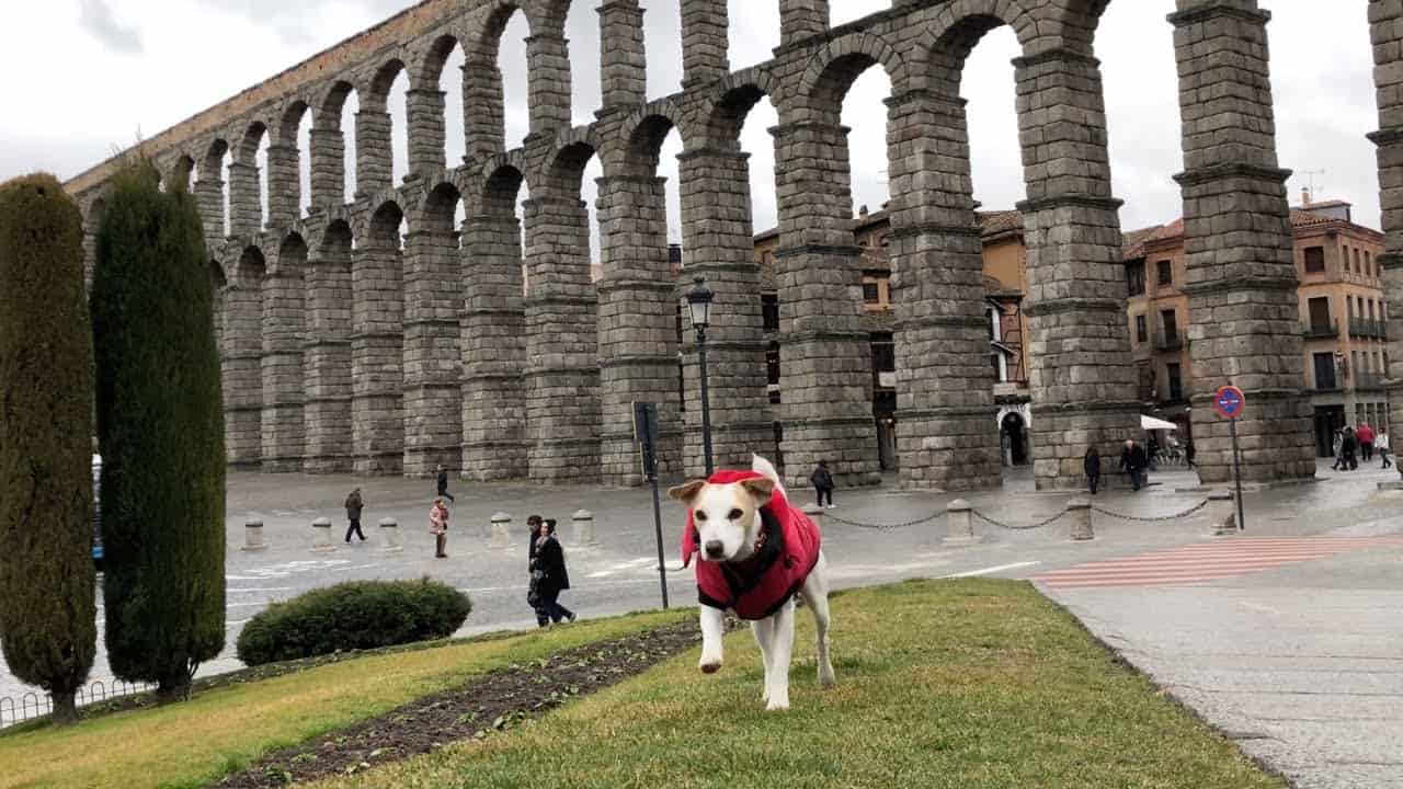 Hoteles en Segovia que admiten perros y mascotas