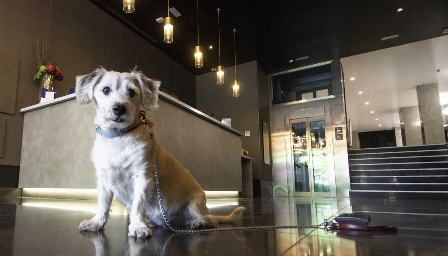 Visita a Granada capital y la Alhambra