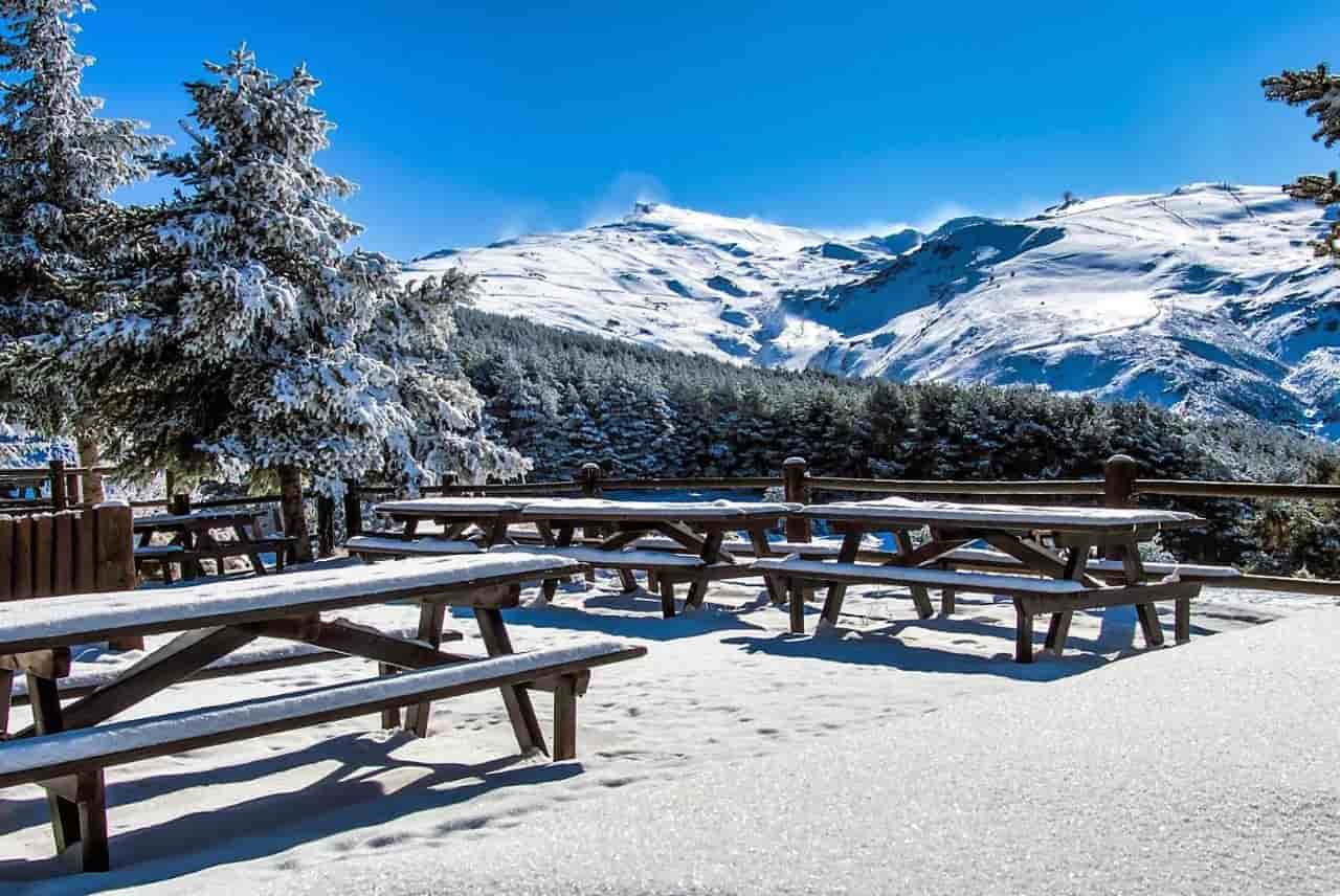 Hoteles en Sierra Nevada que admiten perros y mascotas