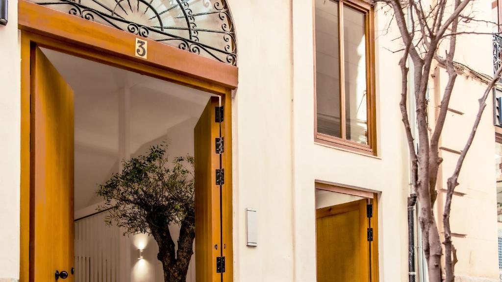 Catalina Suites Apartments