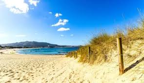 Hoteles en Vigo que admiten perros y mascotas