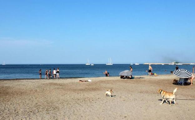 Playa de la Escollera Norte, Dénia