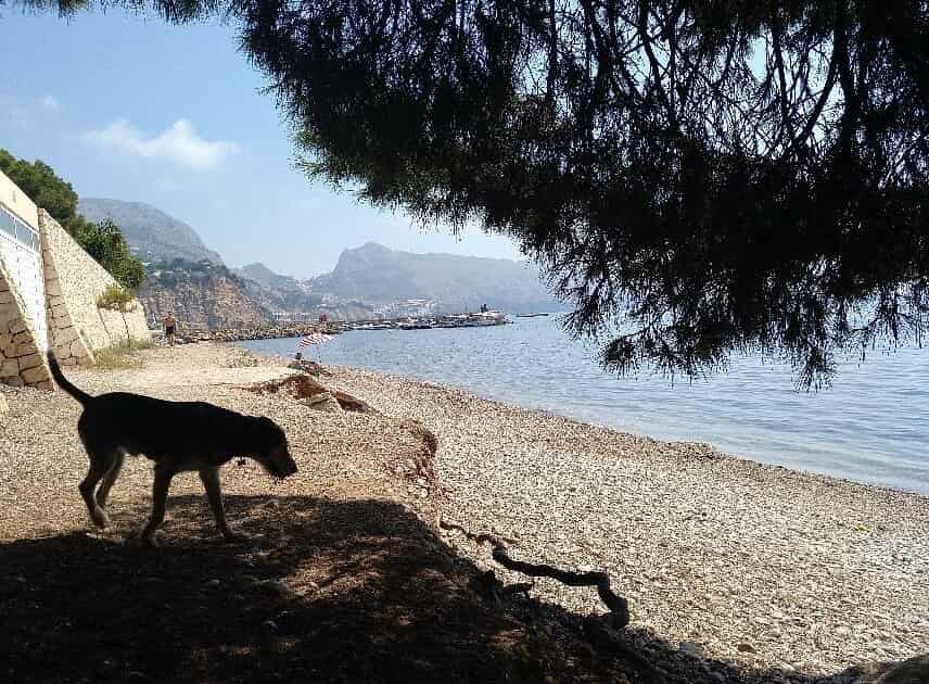Playa Mar y Montaña, Altea