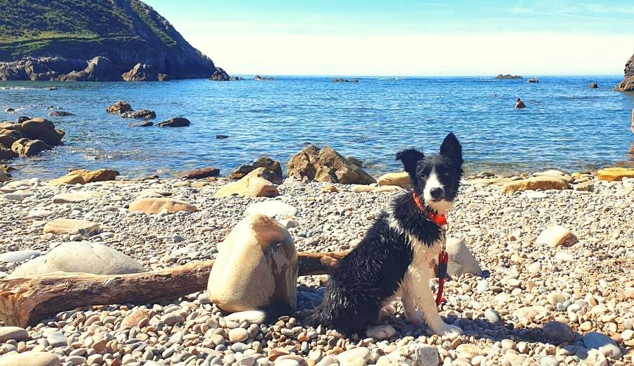Cala Saliencia, Cudillero