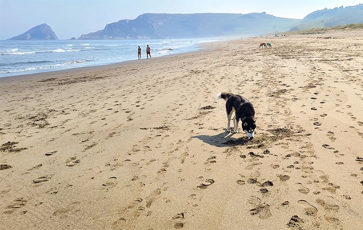 Playa de Bayas (del Sablón), Castrillón