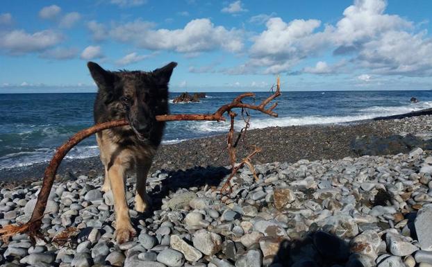 Playa de Campiecho, Valdés