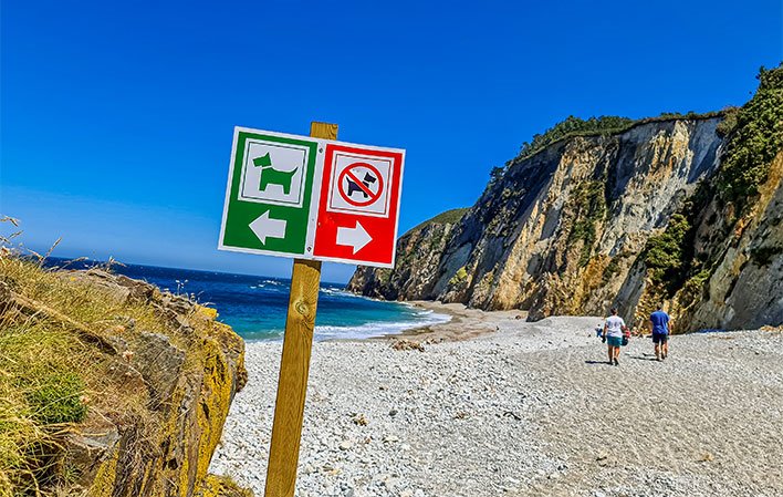 Playa de Quintana, Valdés