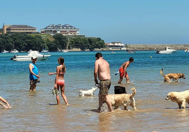 Playuca de la Cantera, Miengo
