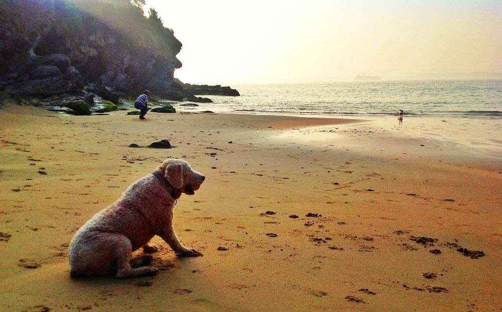 Playa de Los Molinucos, Santander
