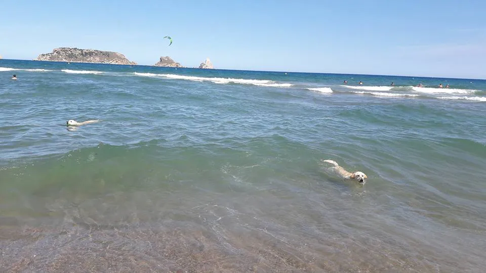 3. Playa Els Griells (zona canina), L`Estartit