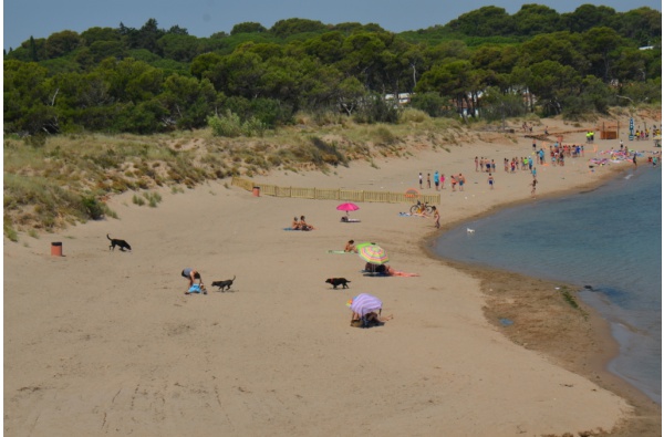 4. Playa de Rec del Molí, L`Escala