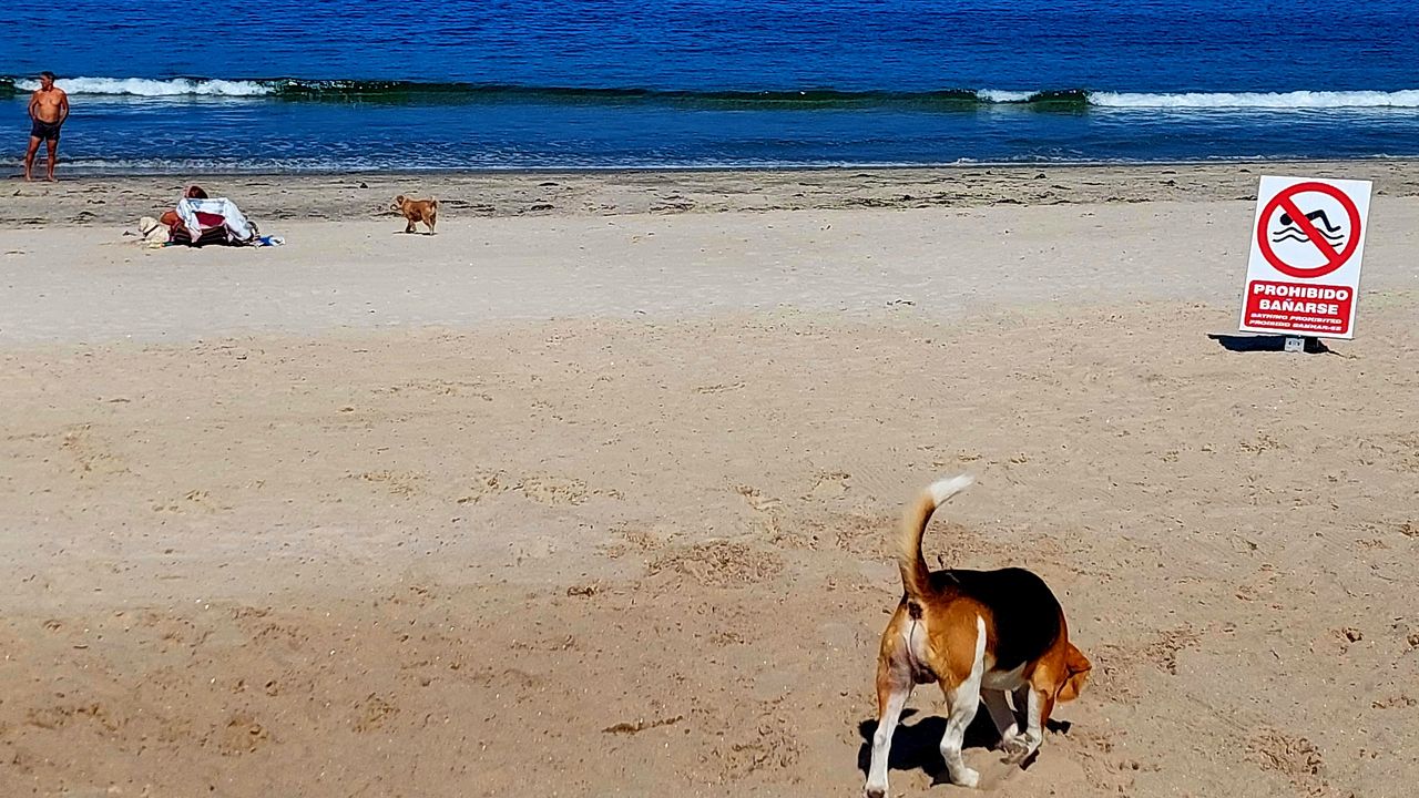 2. Playa de A Calzoa, Vigo (Pontevedra)