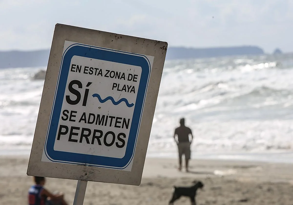6. Playa de Ribeira Pequena, Marín (Pontevedra)