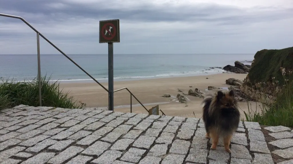 4. Playa de Tupide, Foz (Lugo)