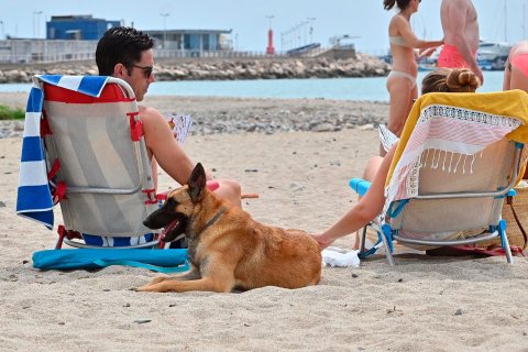 Playa Canina de Comarruga, El Vendrell