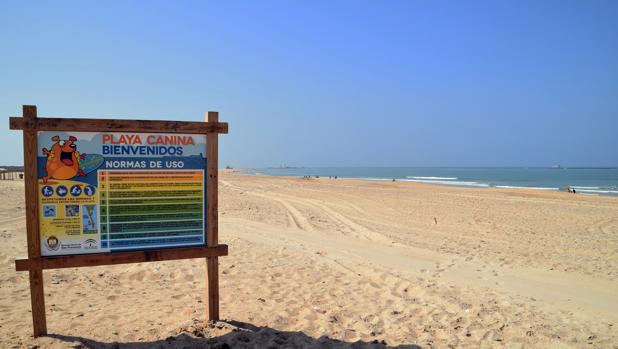 playa perros Camposoto
