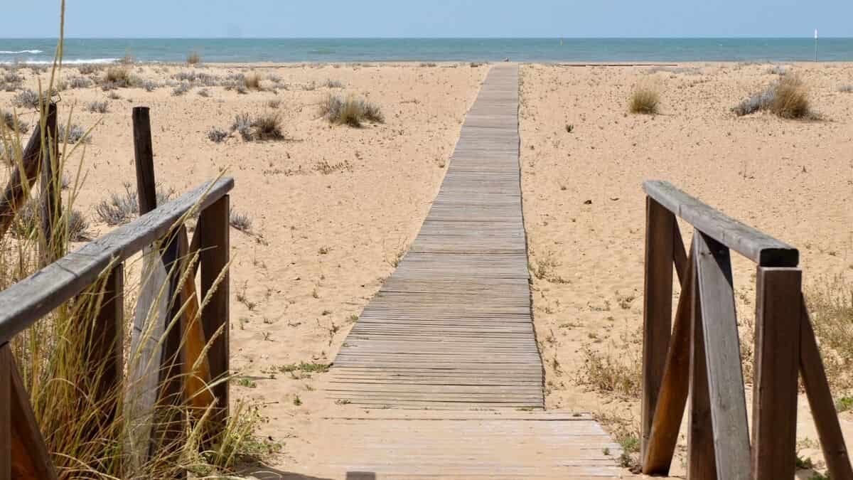 playa perros el Espigon