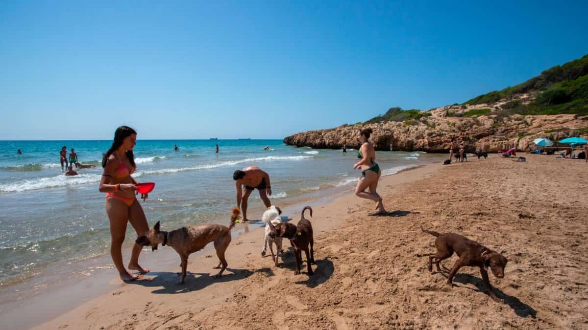 12. Playa Llarga, Tarragona