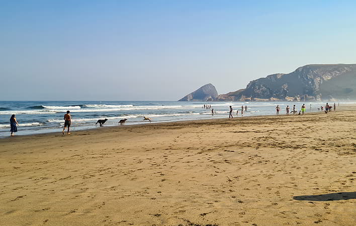 Playa canina del Playón de Bayas
