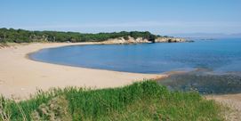 playa perros Rec del Moli