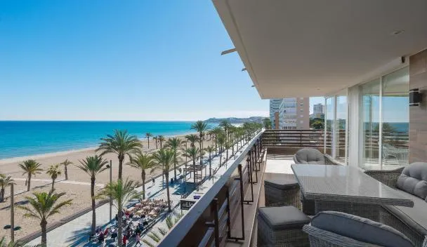 Hoteles en Alicante que admiten perros y mascotas