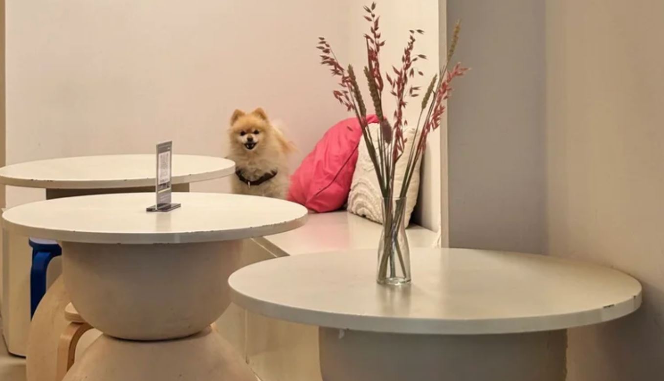 Perrisimo Dog Cafe & Bar