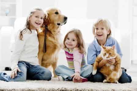 Hotels and pets, a winning combination