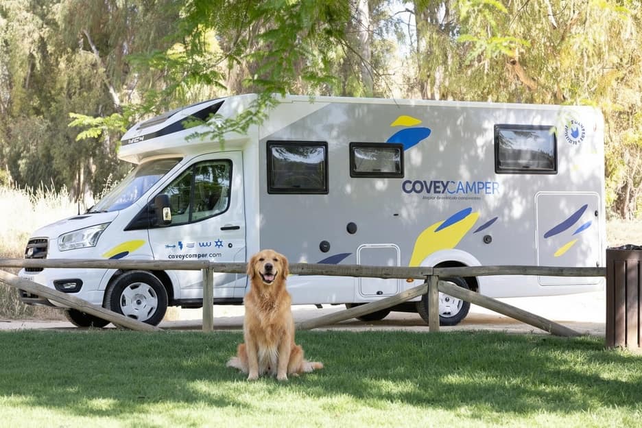 Para perros medianos: Fiat Ducato Lumna o Nivara.