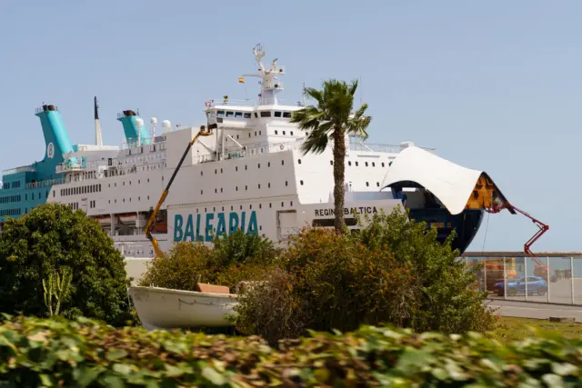 Por qué en pueblos pequeños el filtro “pet-friendly” se queda en blanco.