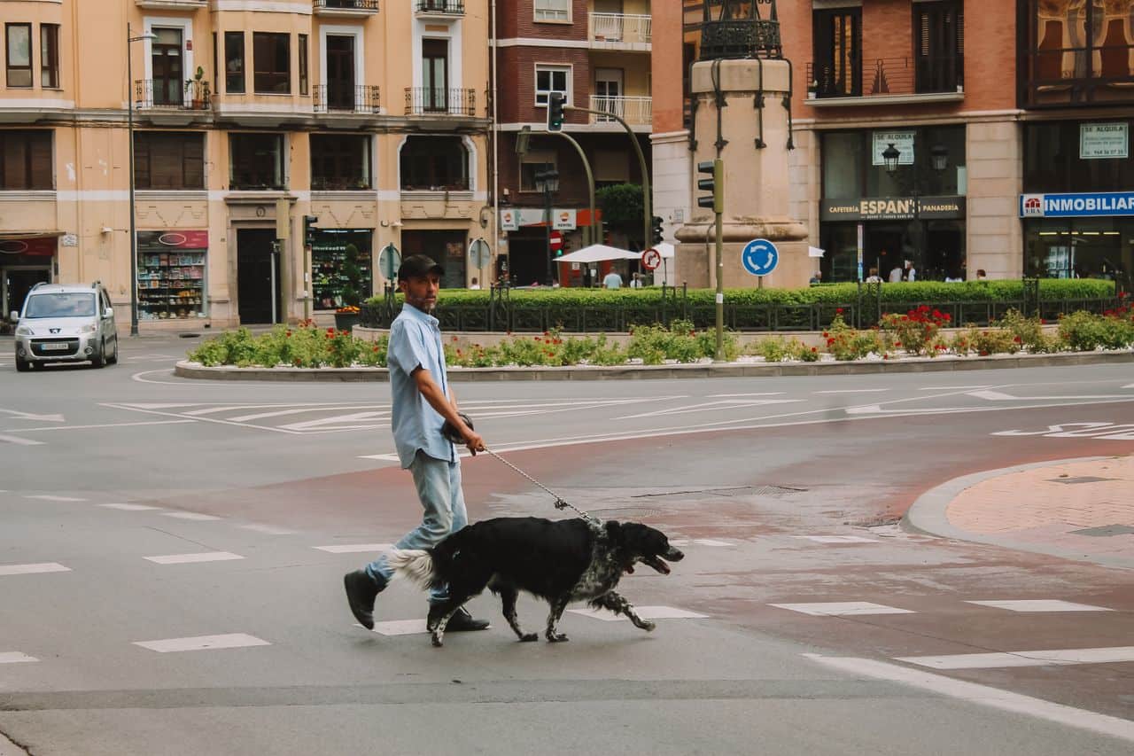 Barcelona pet-friendly.
